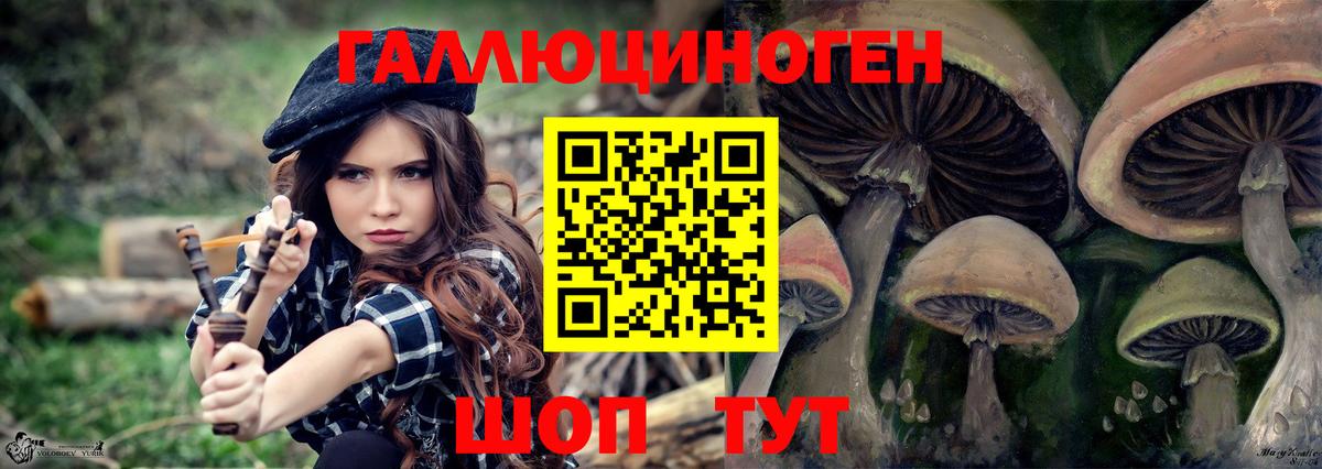 Псилоцибиновые грибы Psilocybine cubensis Ессентуки